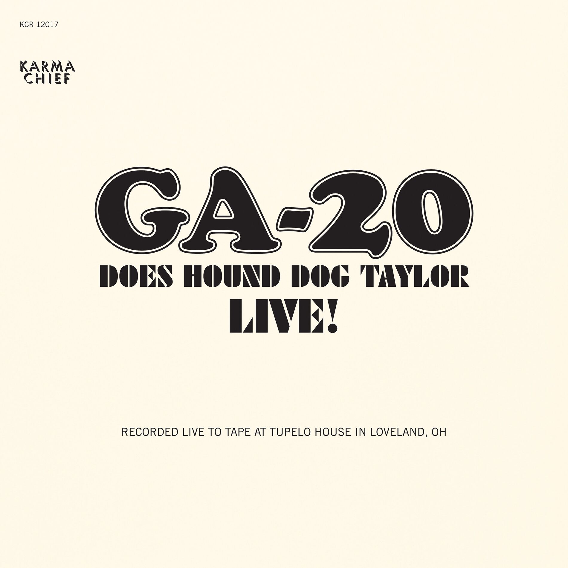 Album cover of Does Hound Dog Taylor Live! (Live)