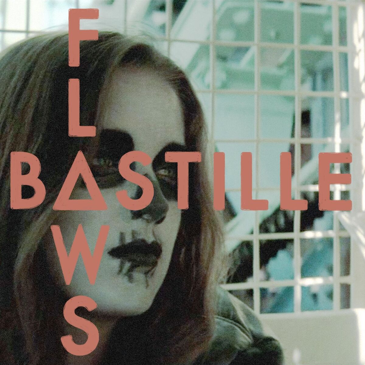 Album cover of Flaws