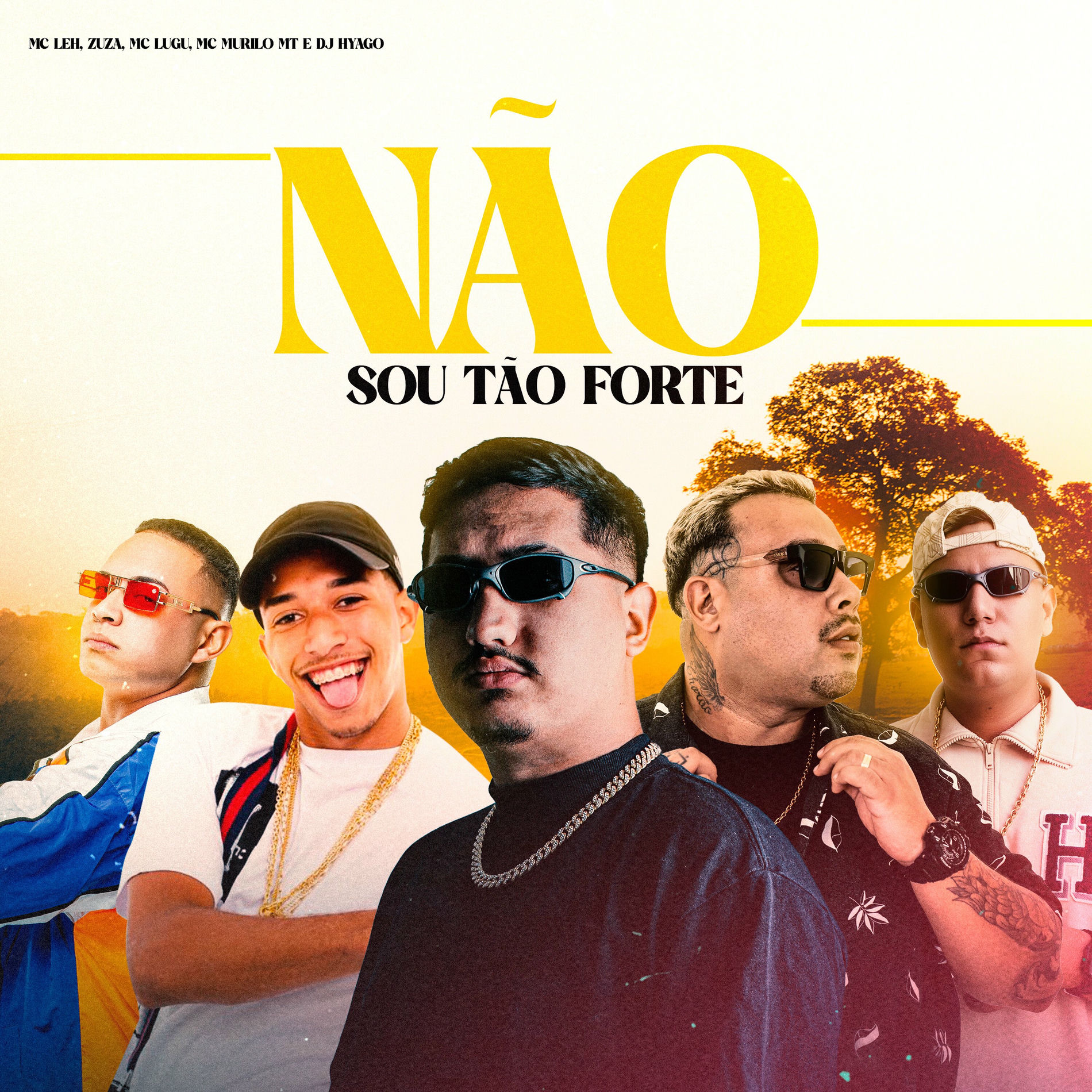 Album cover of Não Sou Tão Forte