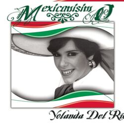 Cover of Mexicanísimo