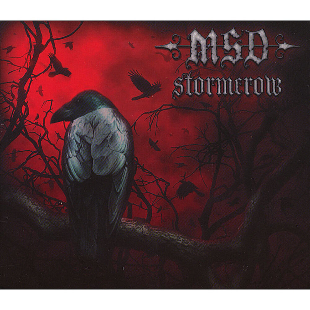 Picture of stormcrow