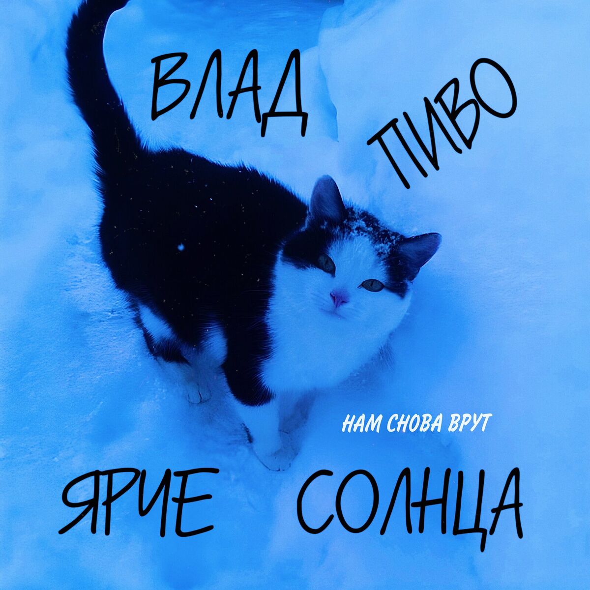 Album cover of Нам снова врут
