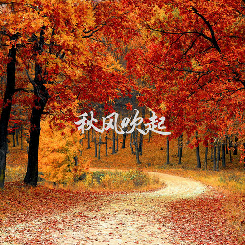 秋风吹起 (钢琴曲)