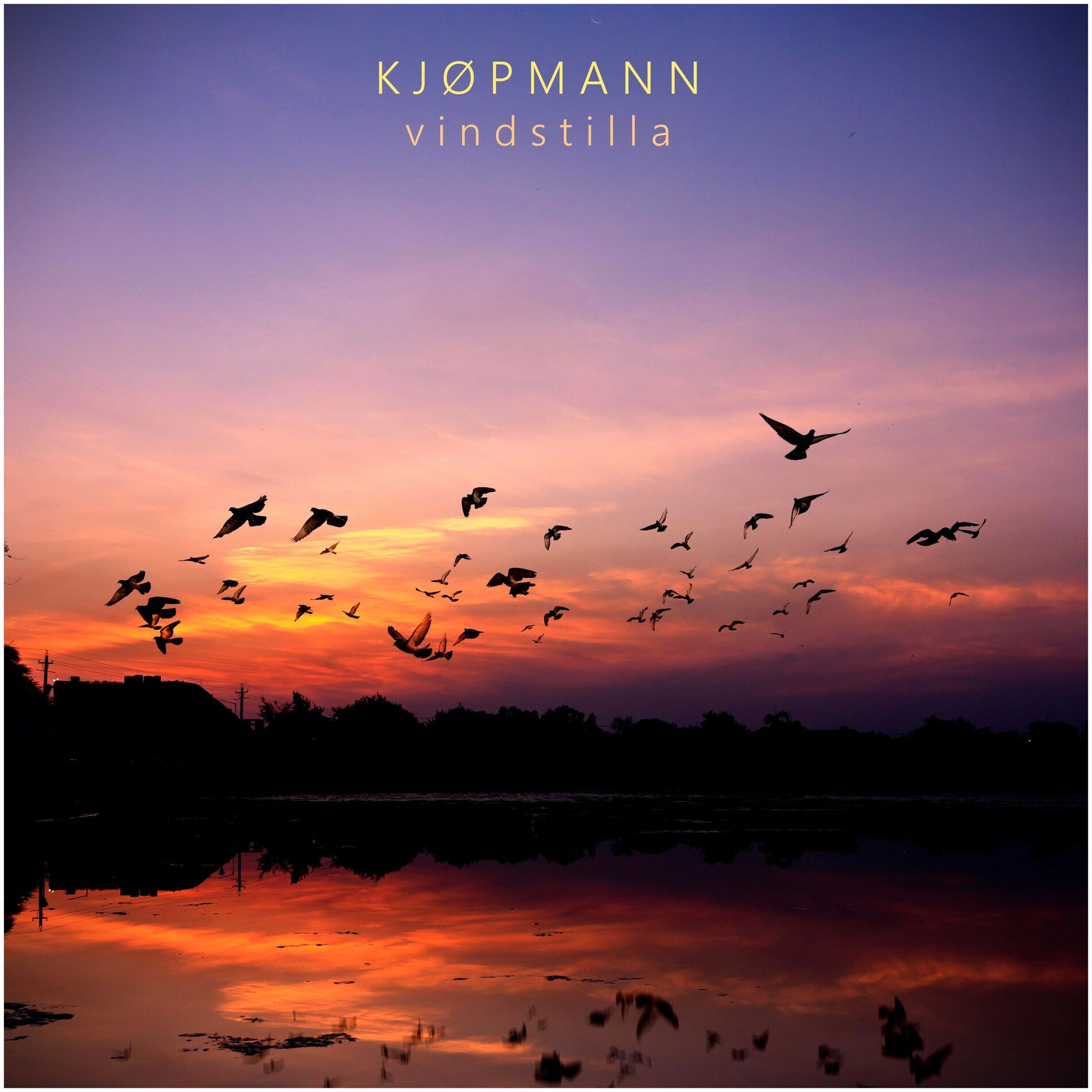 Album cover of Vindstilla