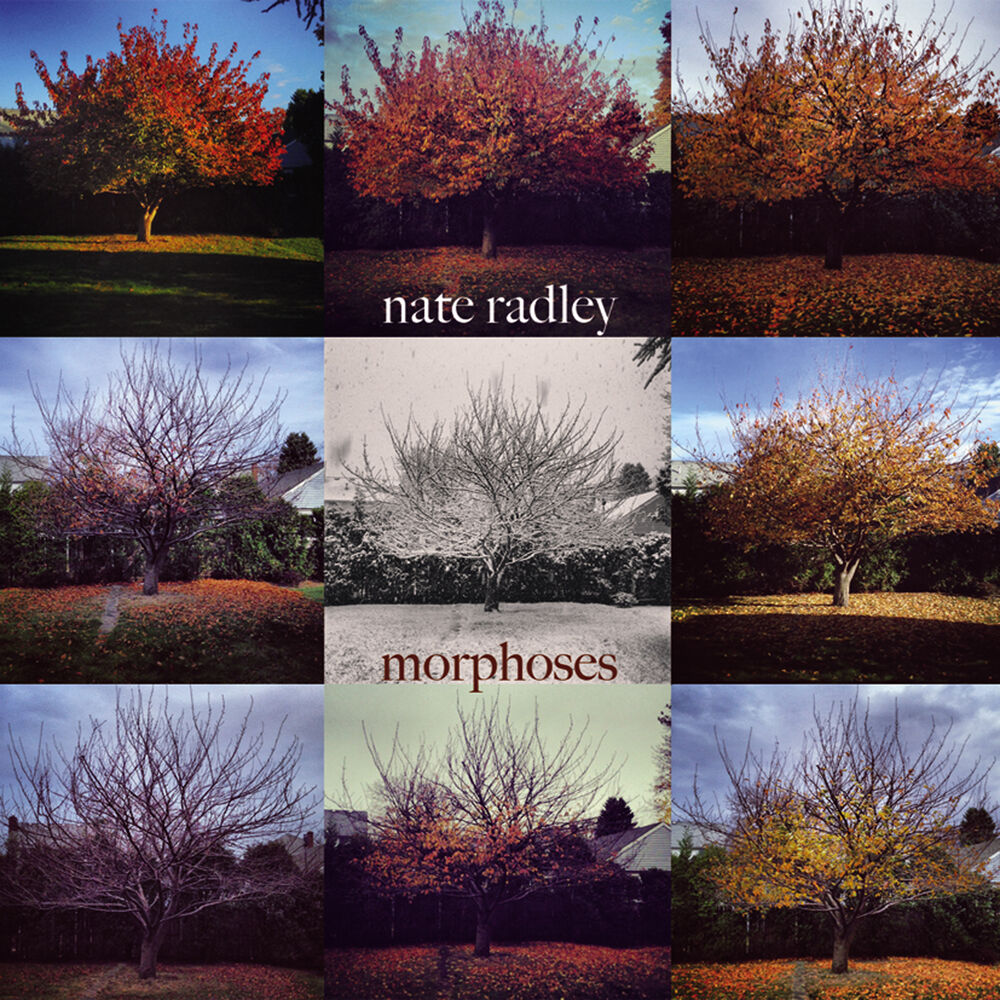 Picture of Morphoses