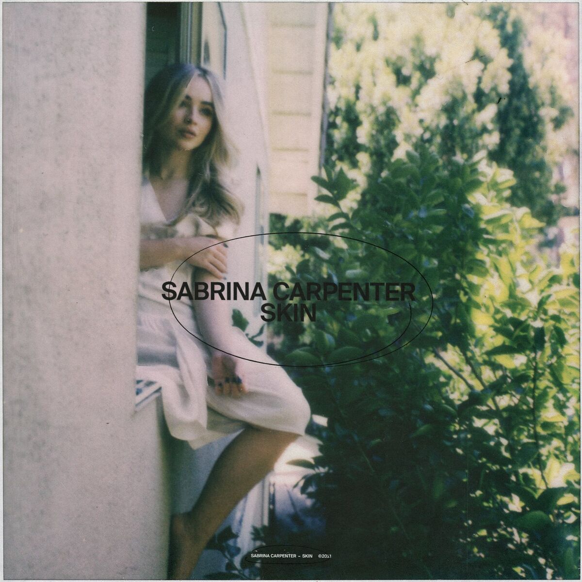 Album cover of Skin