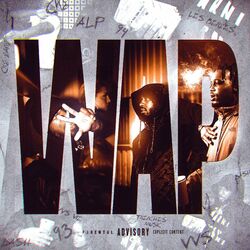 Cover of WAP