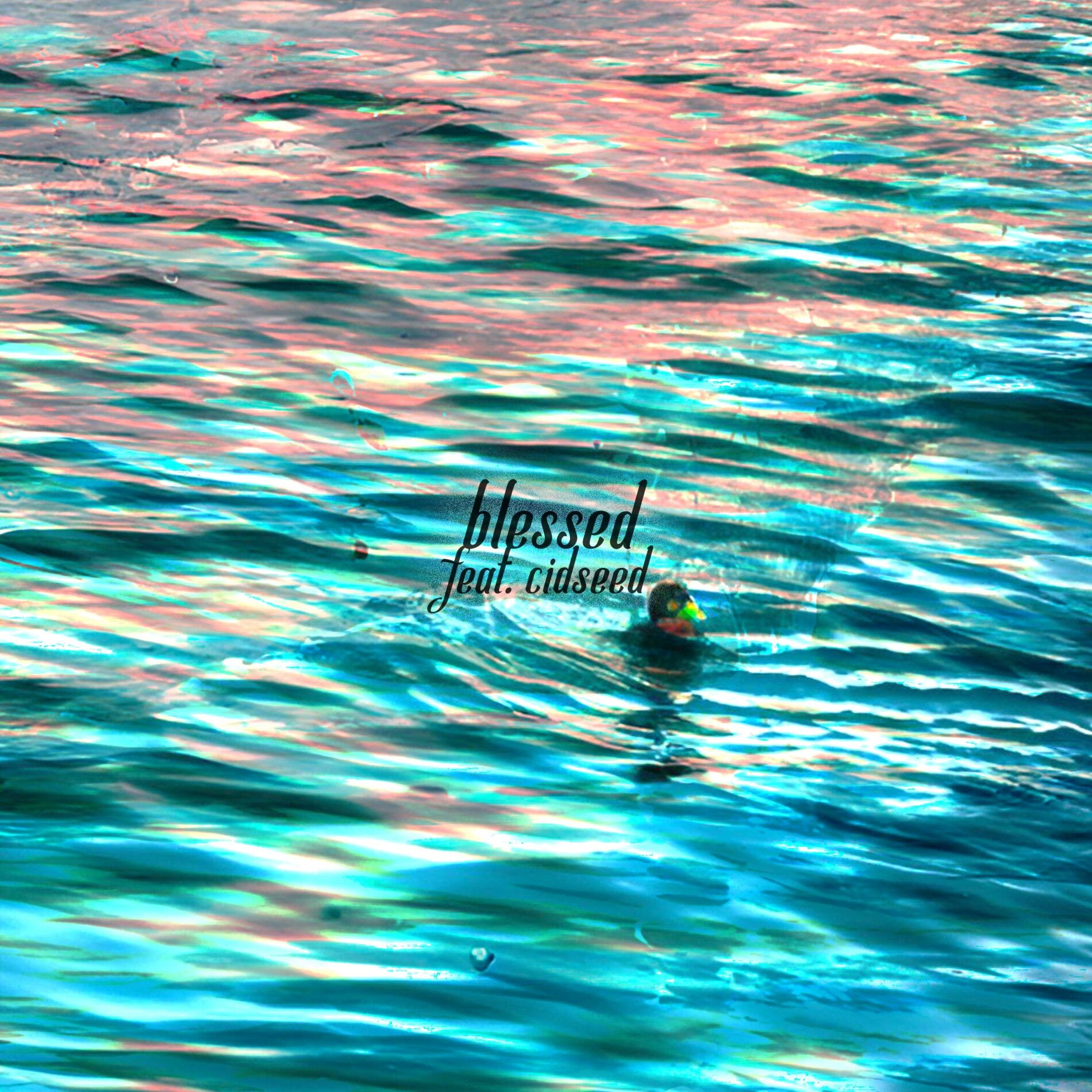 Album cover of Blessed