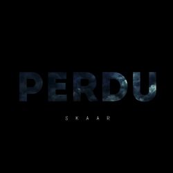 Cover of Perdu