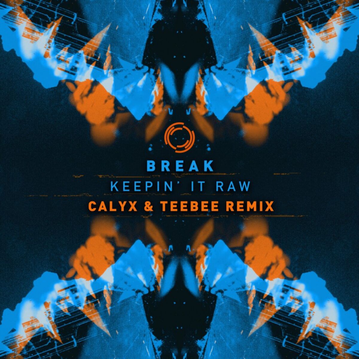 Album cover of Keepin It Raw
