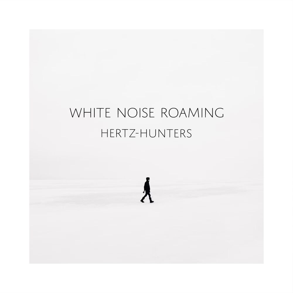 Picture of White Noise Roaming