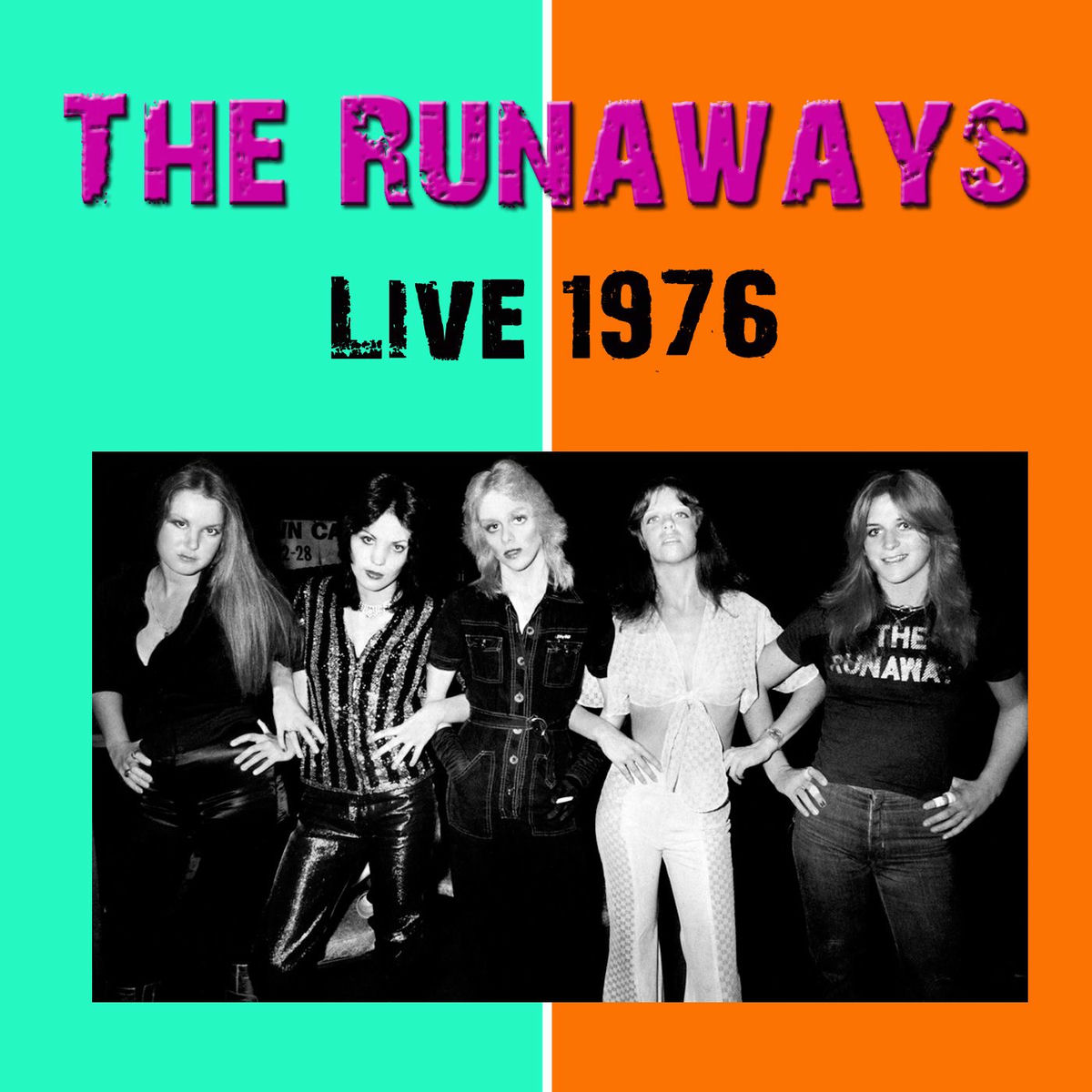 Album cover of The Runaways In Concert 1976 (Live In Concert)