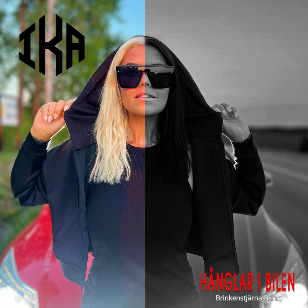 Album artwork for Hånglar I Bilen (Radio Edit) by Brink