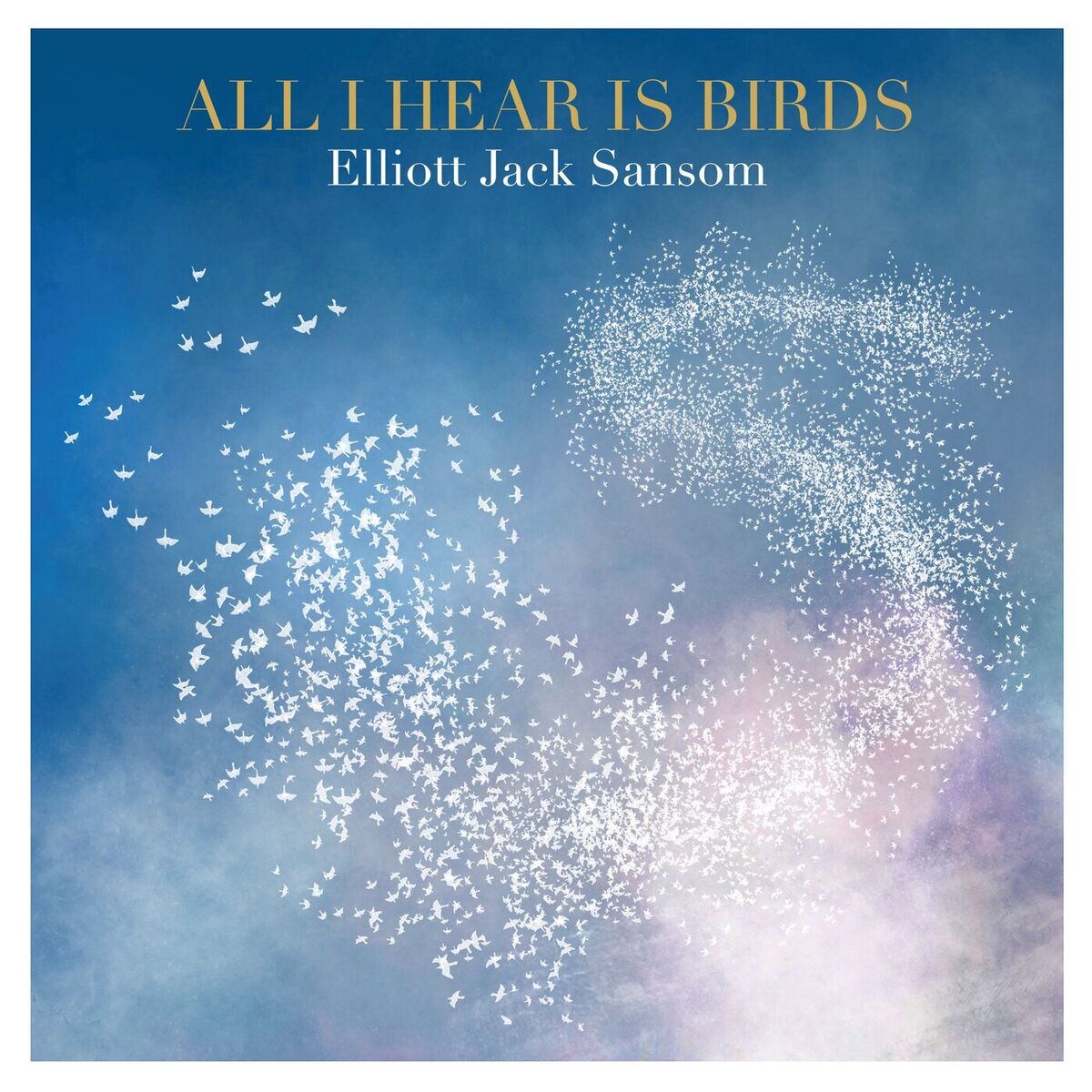 Album cover of All I Hear Is Birds,