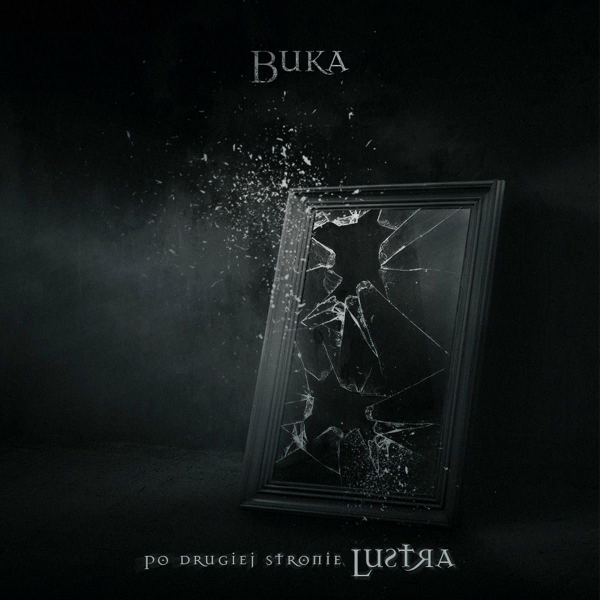 Album cover of Po drugiej stronie lustra 2010