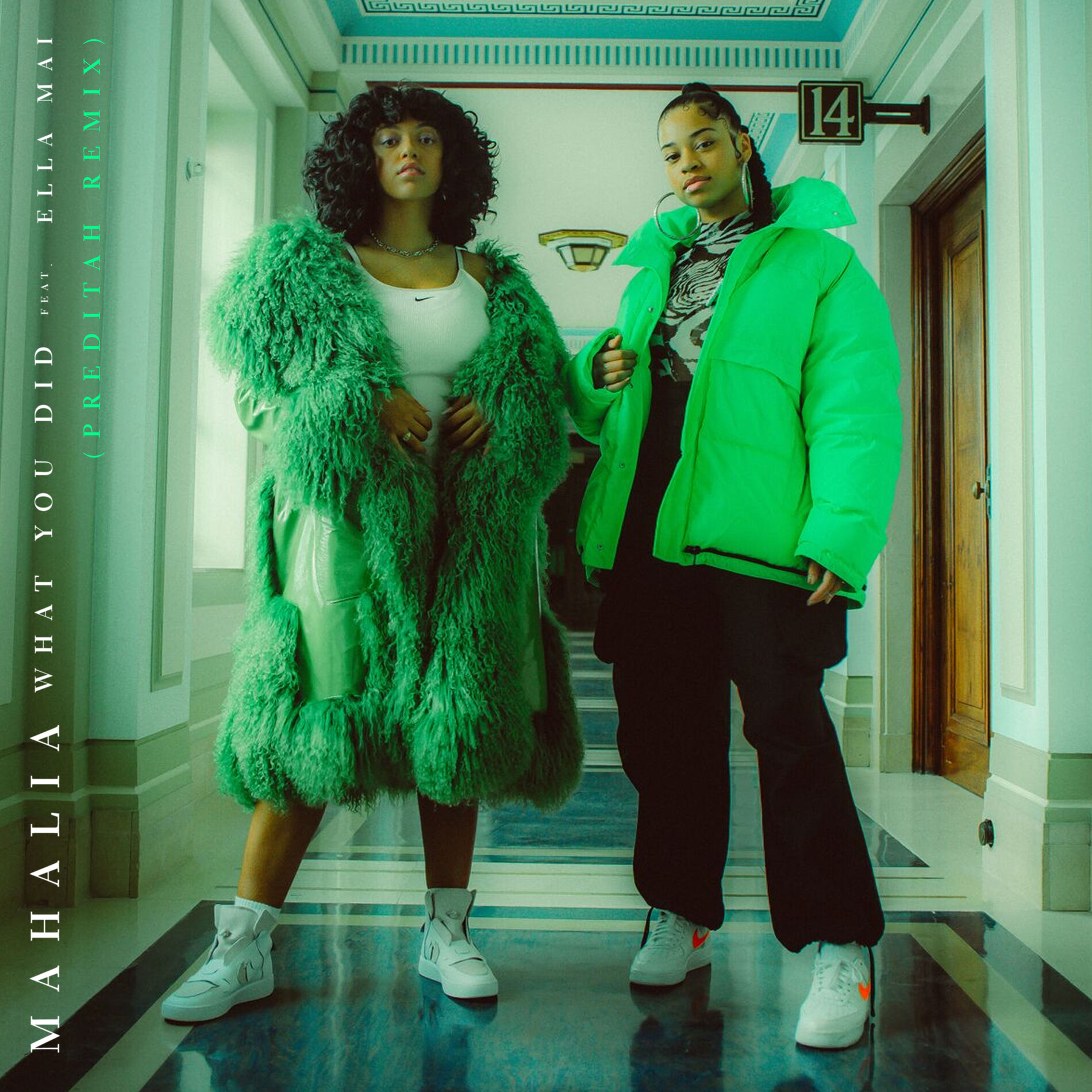 Album cover of What You Did (feat. Ella Mai) (Preditah Remix)