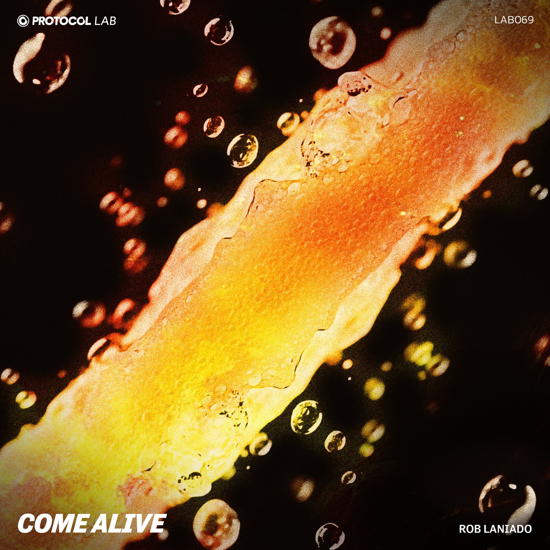 Album cover of Come Alive