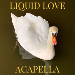 Cover of Liquid Love (Acapella)