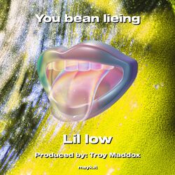 Cover of You bean lieing