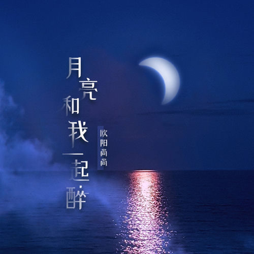 月亮和我—起醉 (DJ默涵版)