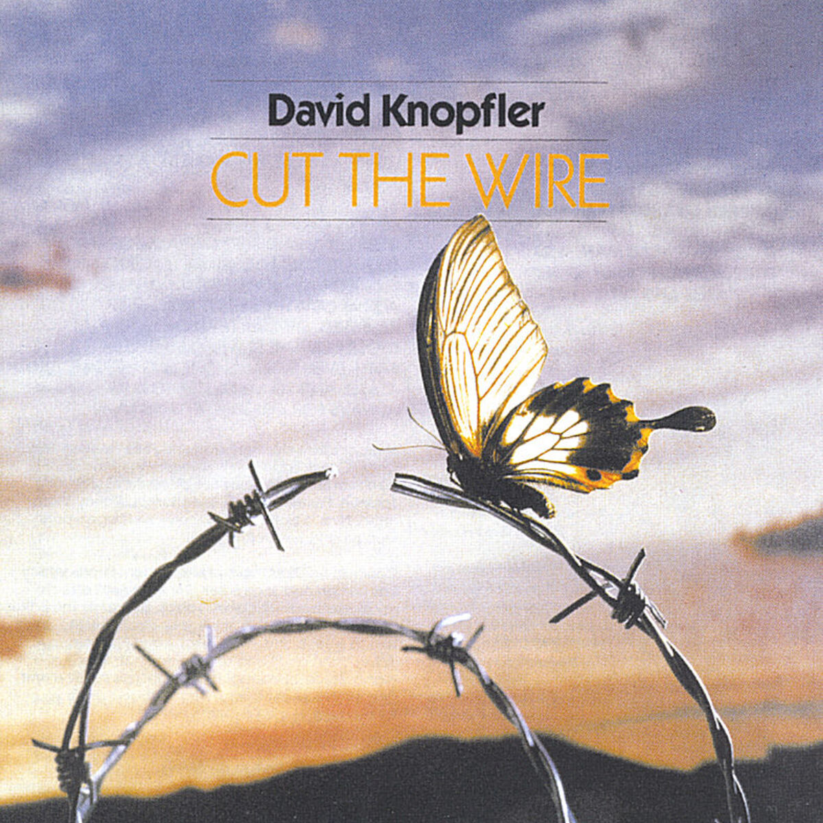 Album cover of Cut The Wire