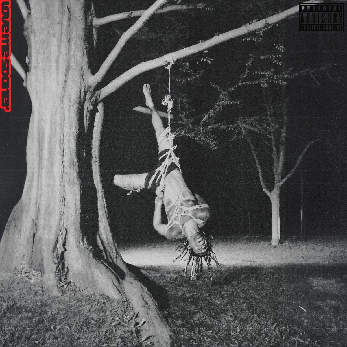 Album cover of lovemesooner