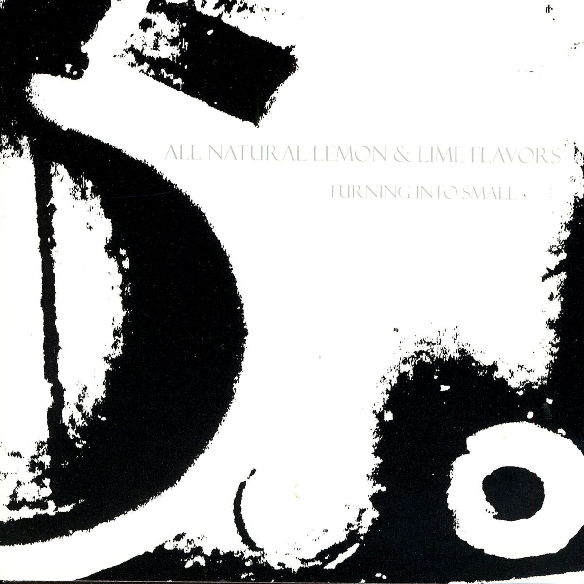 Album cover of Turning Into Small