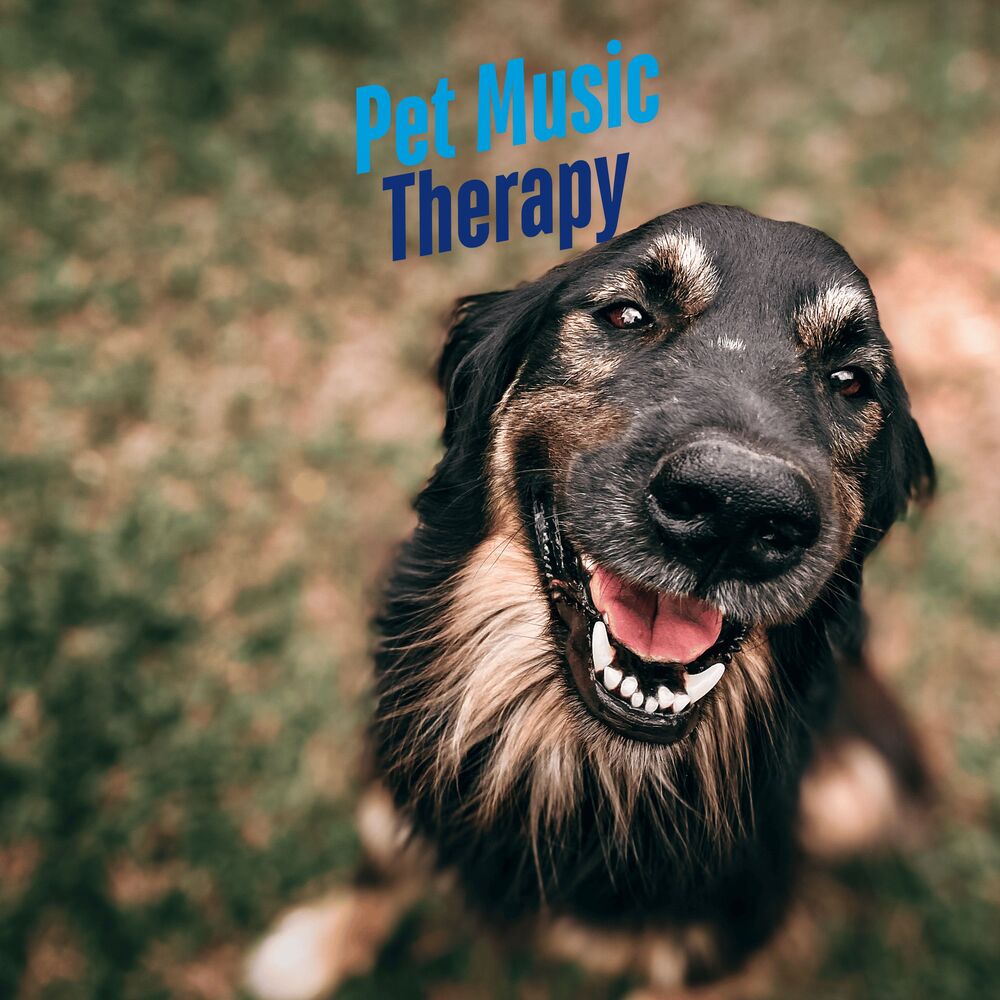 Picture of Whispering Fur Therapy