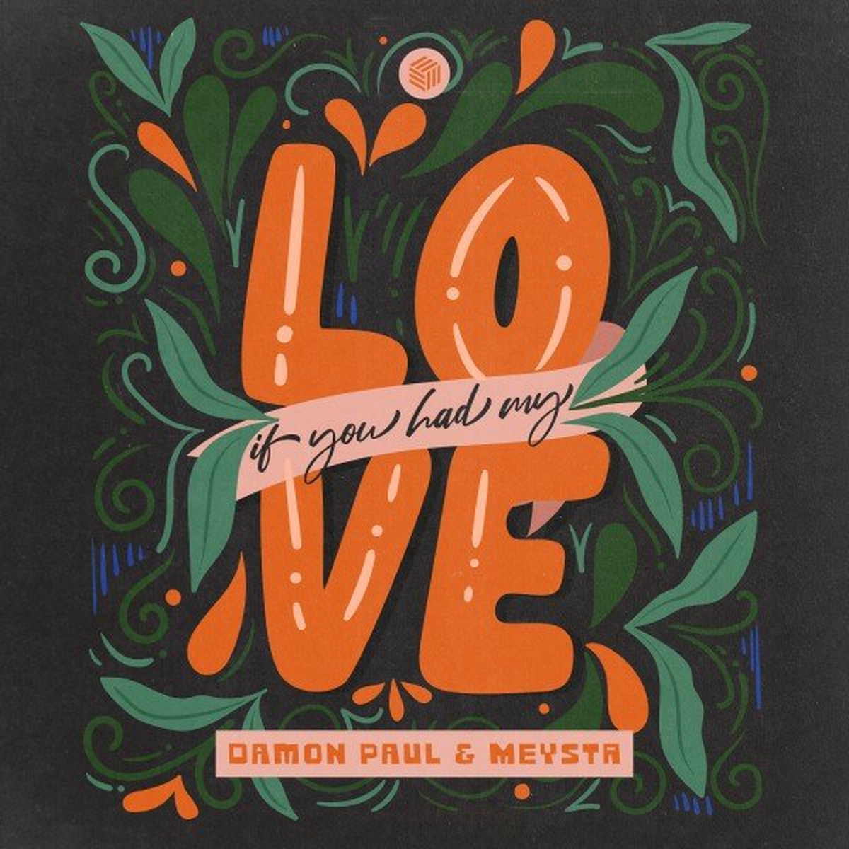 Album cover of If You Had My Love
