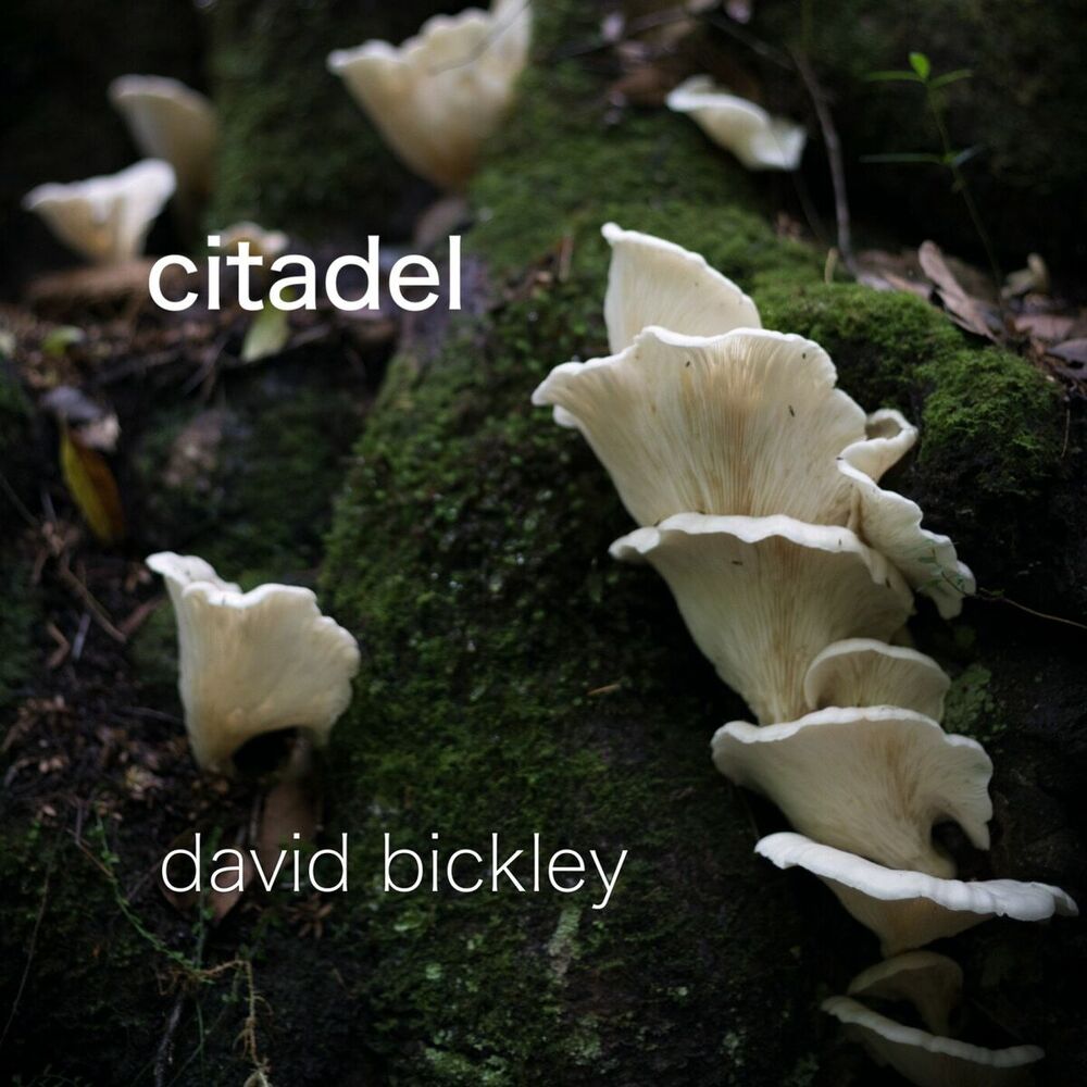 Picture of Citadel