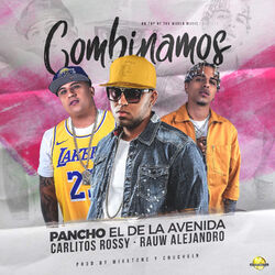 Cover of Combinamos