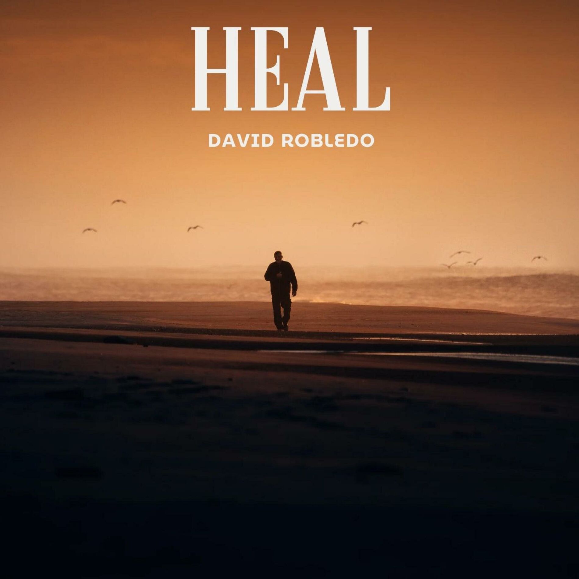 Album cover of Heal