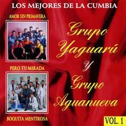 Los Mejores de la Cumbia