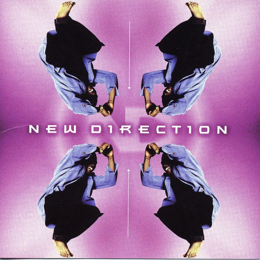 Picture of New Direction