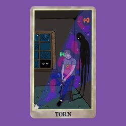 Cover of Torn