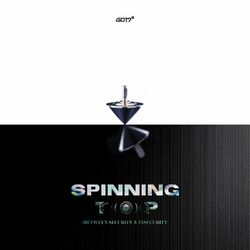 Cover of SPINNING TOP : BETWEEN SECURITY & INSECURITY