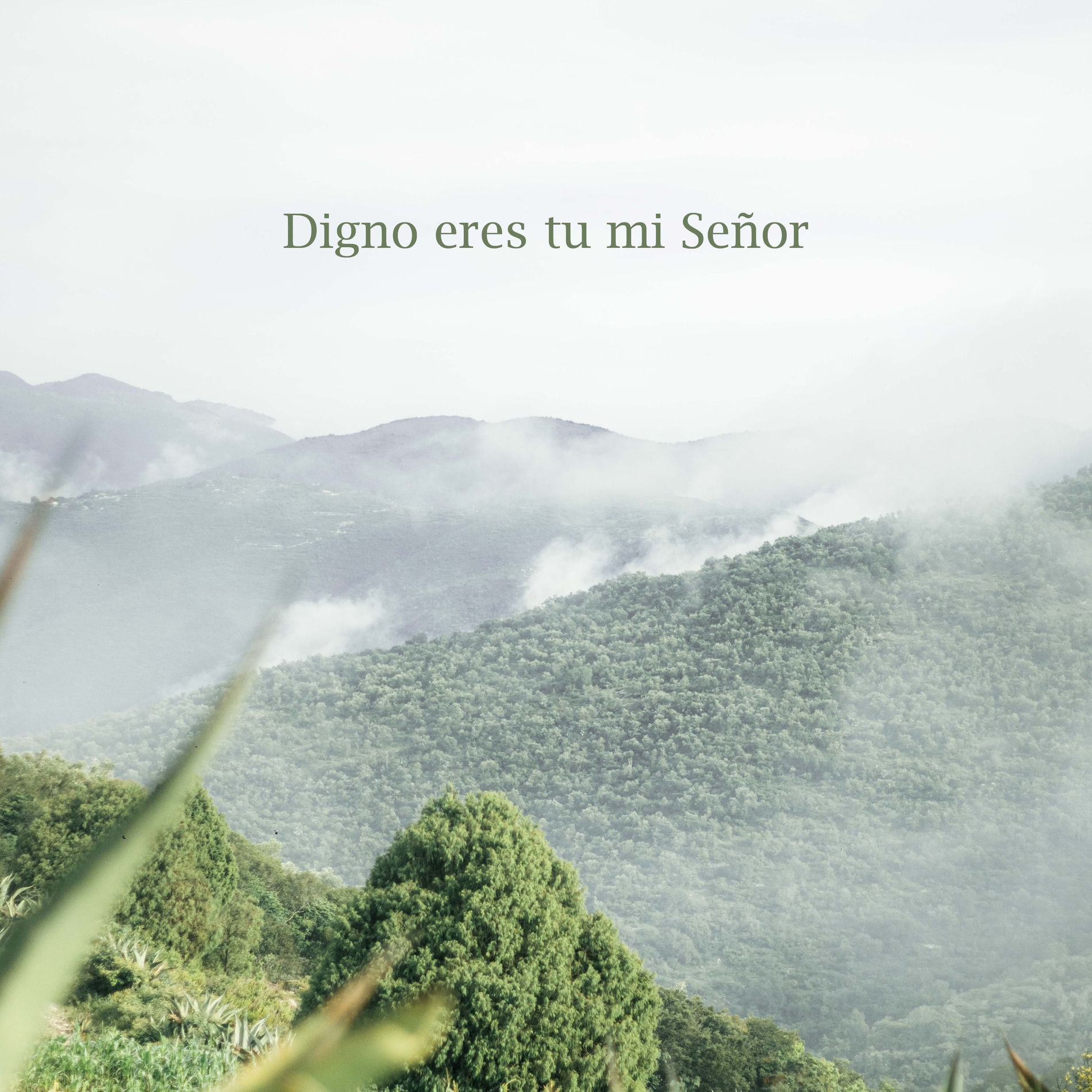 Album cover of Digno eres tu Señor