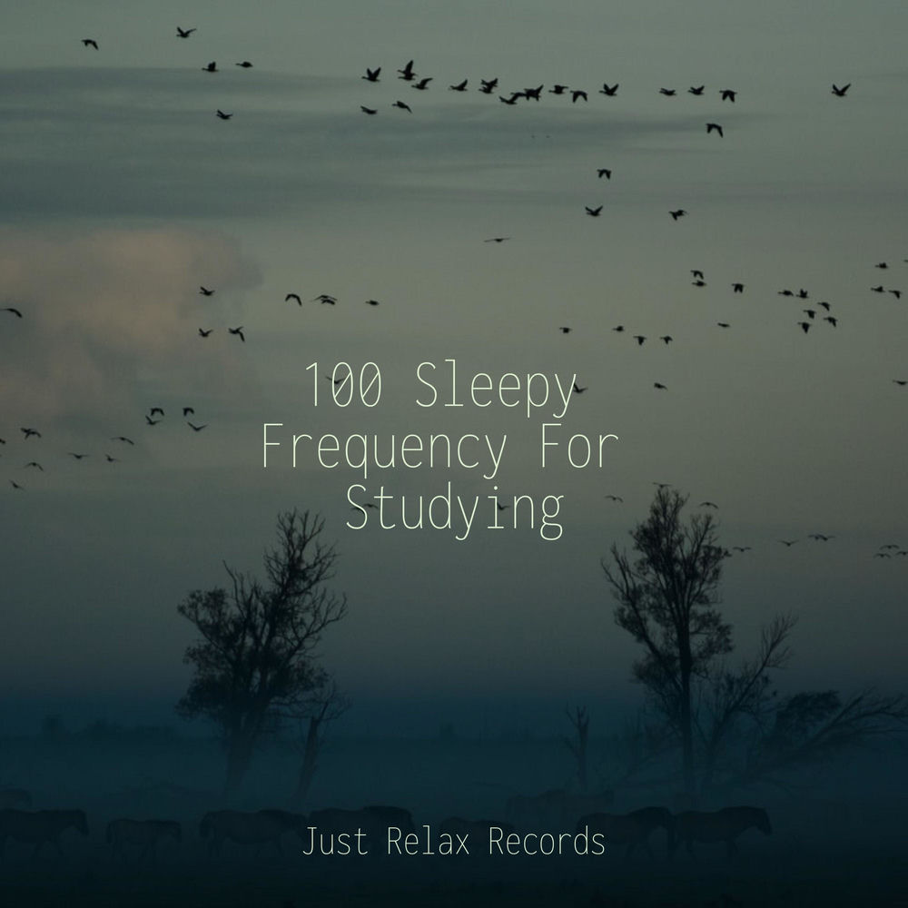 100 Sleepy Frequency For Studying