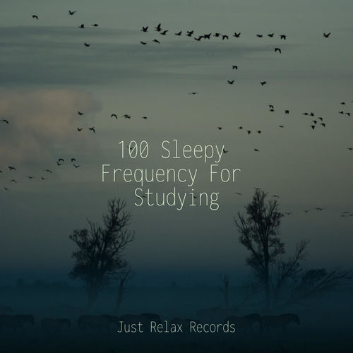 100 Sleepy Frequency For Studying