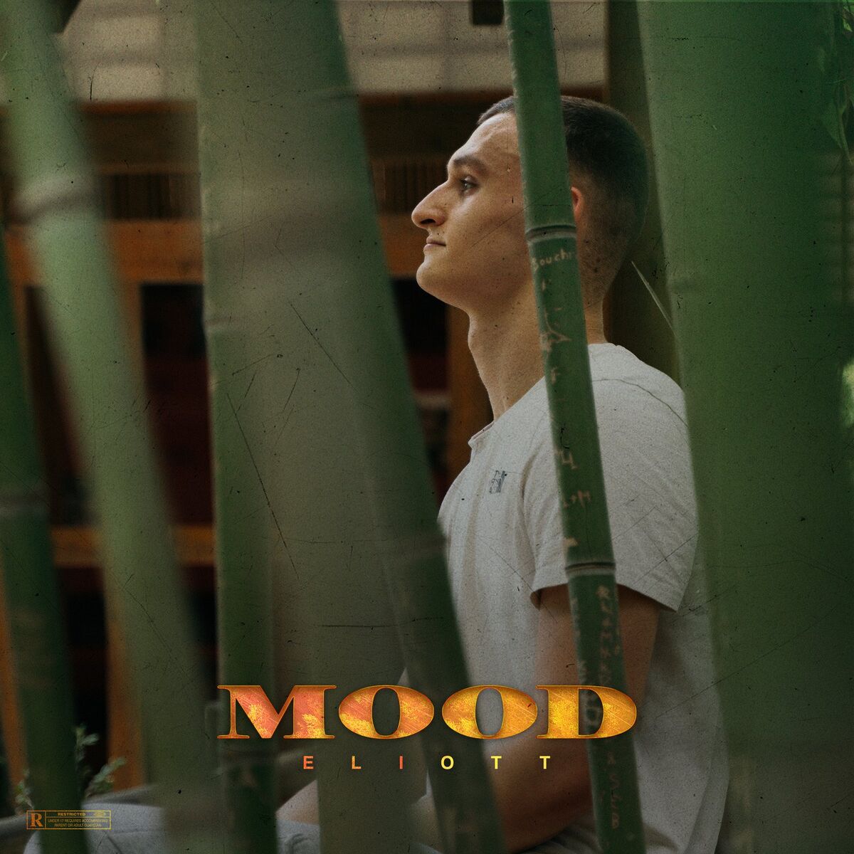Album cover of C'est mort