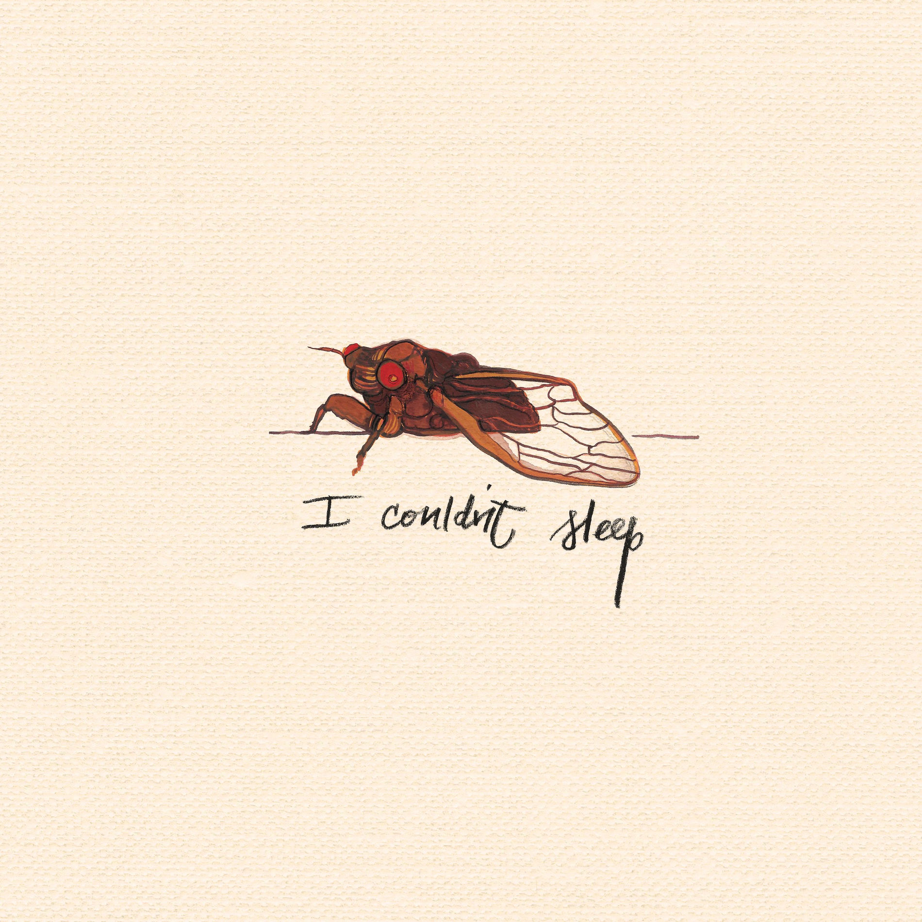 Album cover of I Couldn't Sleep