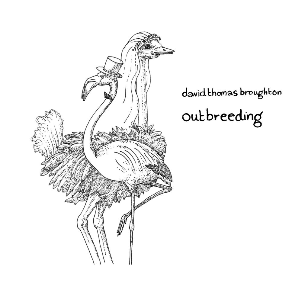 Picture of Outbreeding