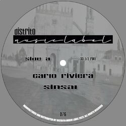 Cover of Sinsal