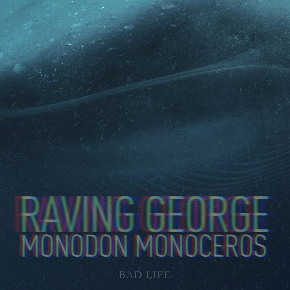 Picture of Monodon Monoceros