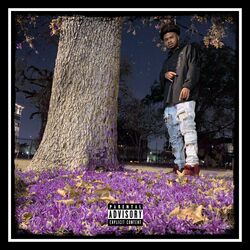 Cover of Back on the Southside