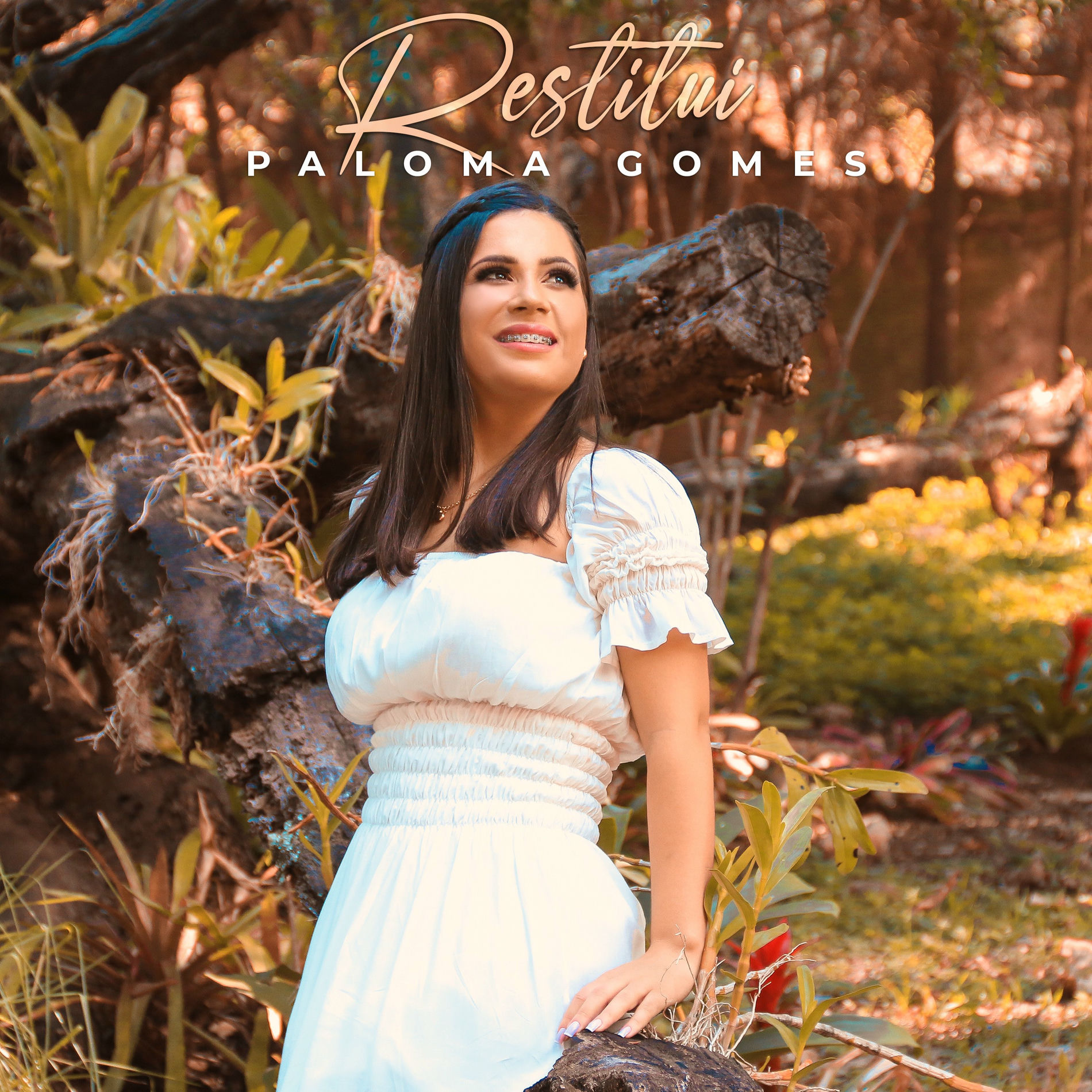 Album cover of Restitui