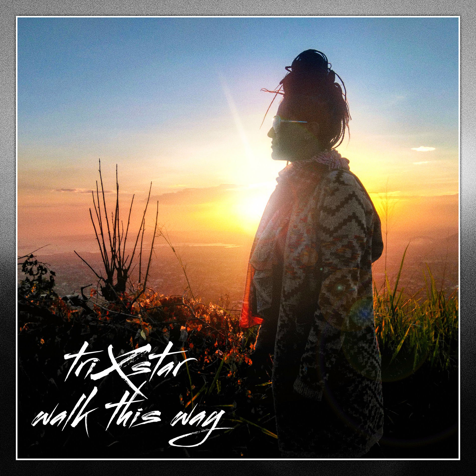 Album cover of Walk This Way