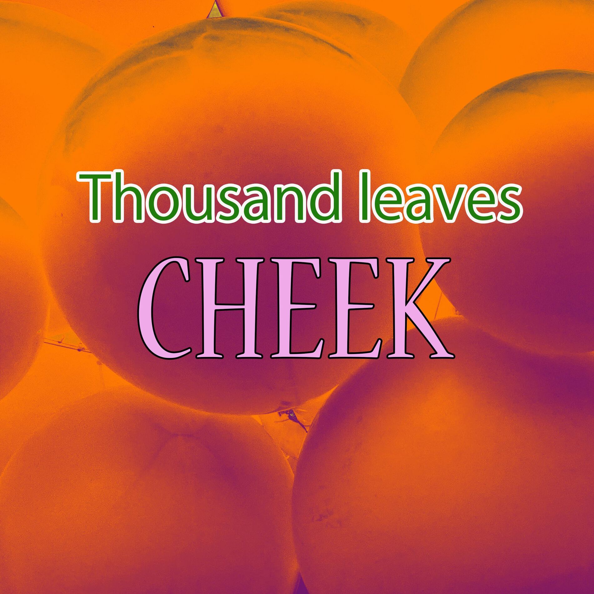 Album cover of Thousand leaves