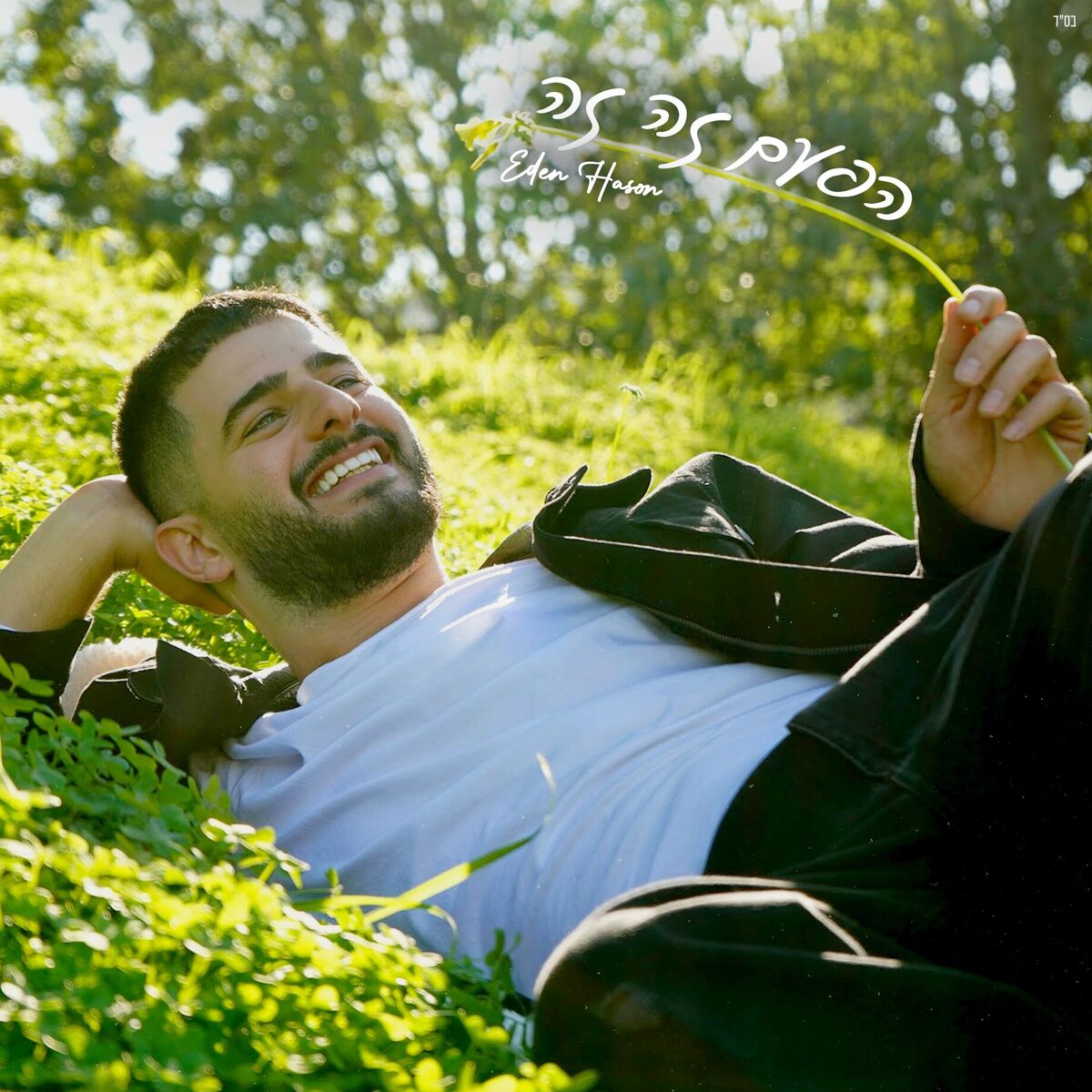 Album cover of הפעם זה זה