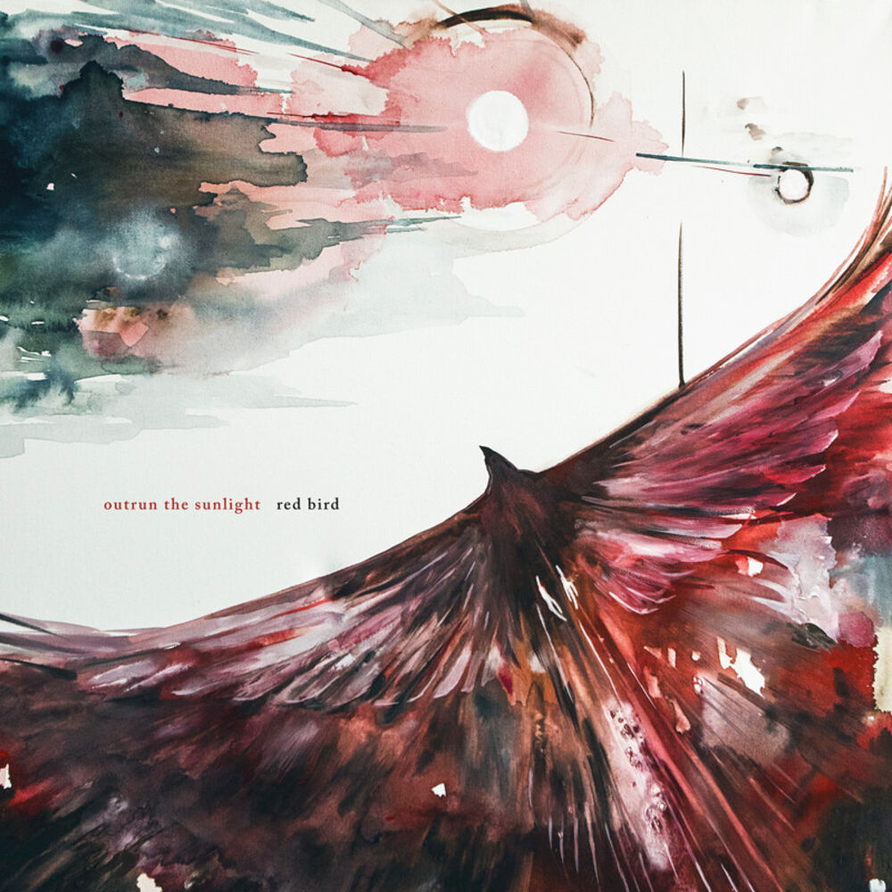Picture of Red Bird